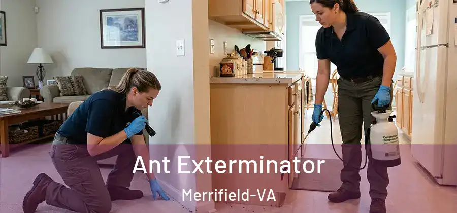 Ant Exterminator Merrifield-VA