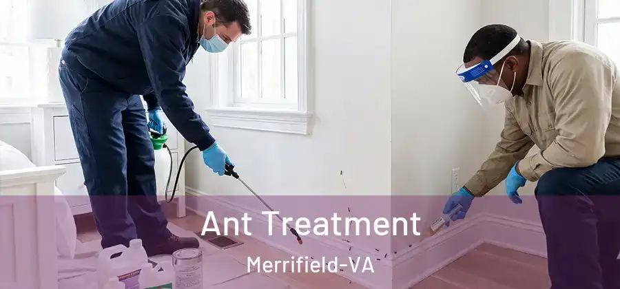 Ant Treatment Merrifield-VA