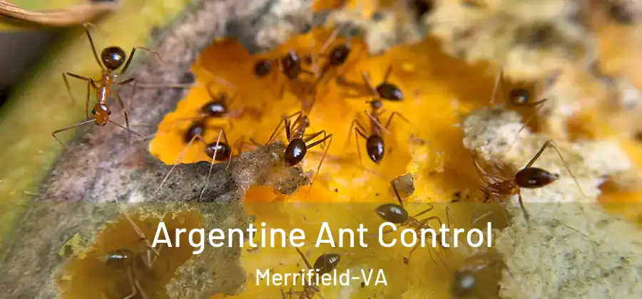  Argentine Ant Control Merrifield-VA