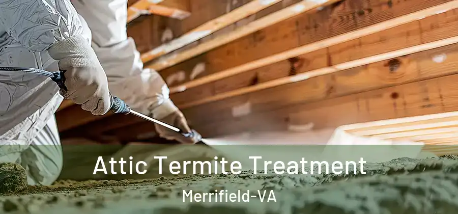 Attic Termite Treatment Merrifield-VA