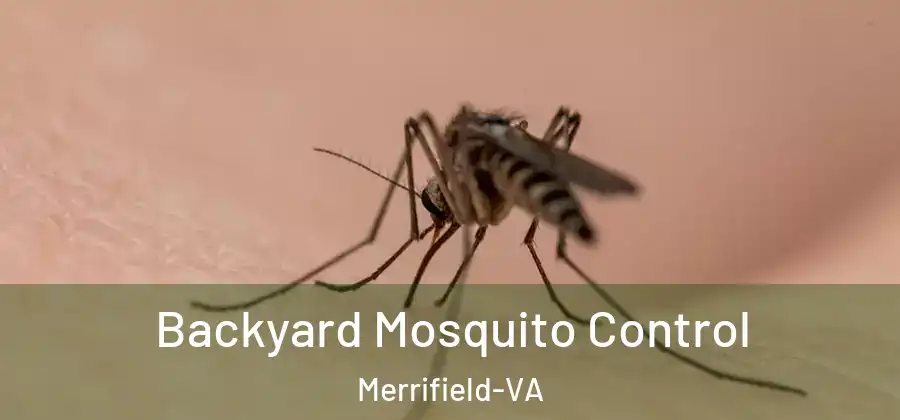 Backyard Mosquito Control Merrifield-VA
