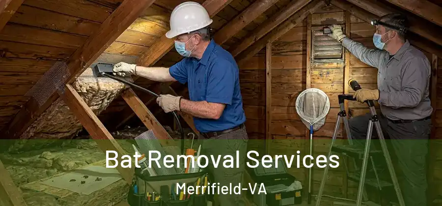 Bat Removal Services Merrifield-VA
