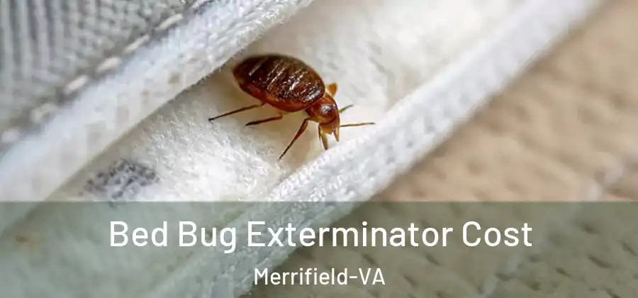  Bed Bug Exterminator Cost Merrifield-VA