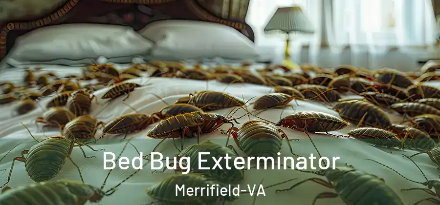 Bed Bug Exterminator Merrifield-VA