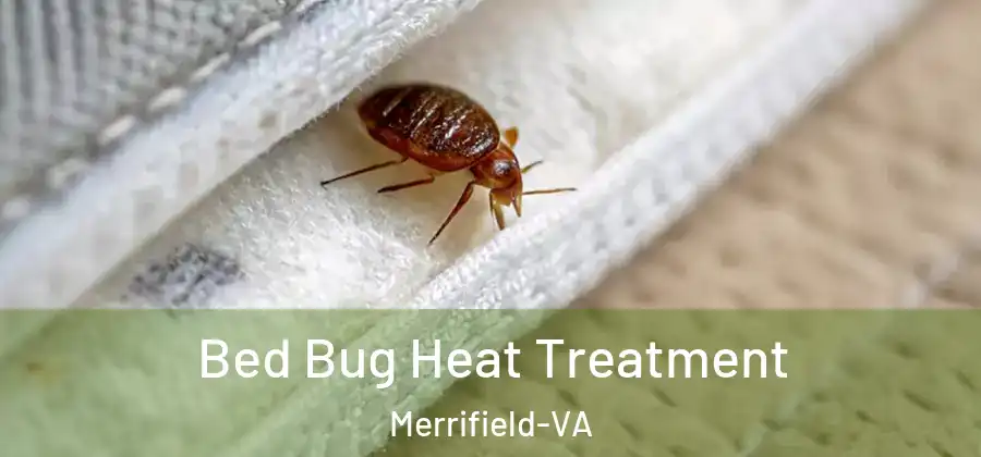 Bed Bug Heat Treatment Merrifield-VA