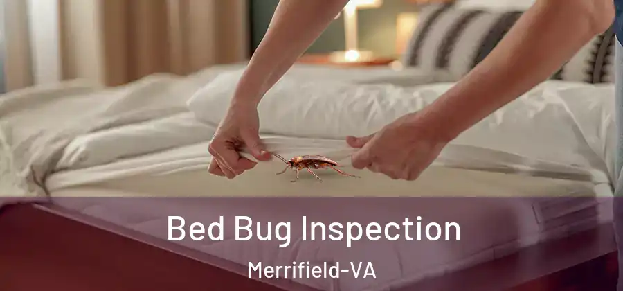  Bed Bug Inspection Merrifield-VA