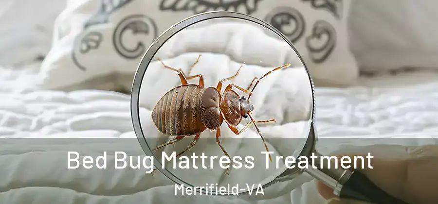 Bed Bug Mattress Treatment Merrifield-VA