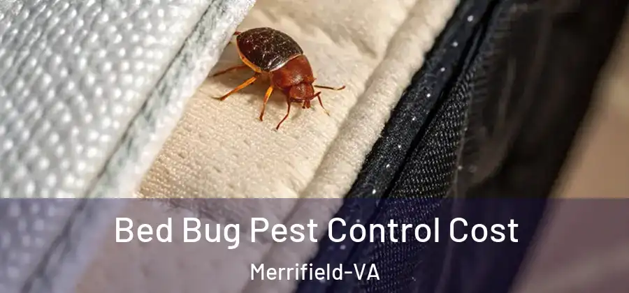 Bed Bug Pest Control Cost Merrifield-VA