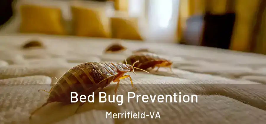 Bed Bug Prevention Merrifield-VA