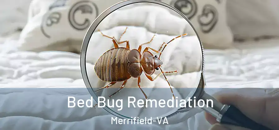  Bed Bug Remediation Merrifield-VA