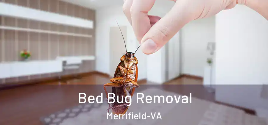  Bed Bug Removal Merrifield-VA