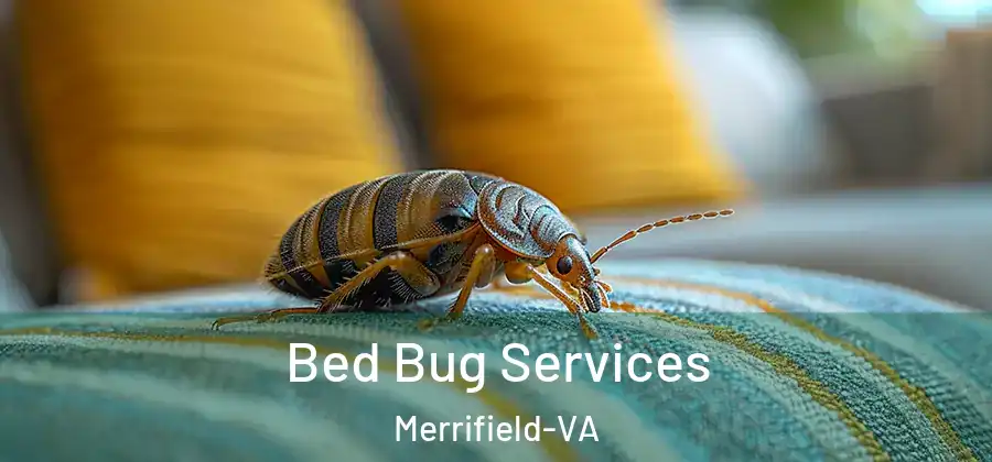 Bed Bug Services Merrifield-VA