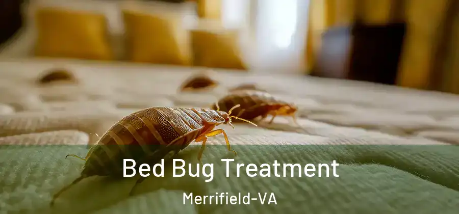  Bed Bug Treatment Merrifield-VA