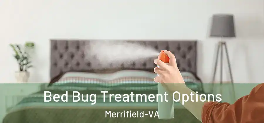 Bed Bug Treatment Options Merrifield-VA