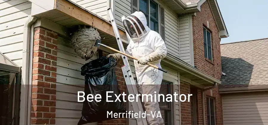 Bee Exterminator Merrifield-VA