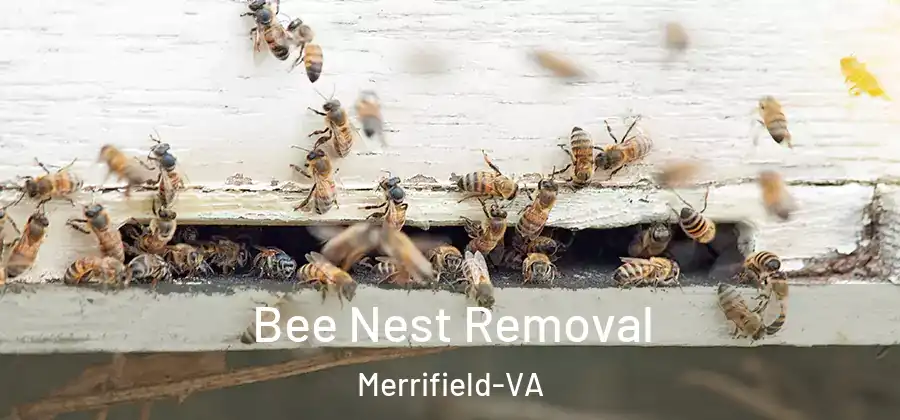 Bee Nest Removal Merrifield-VA