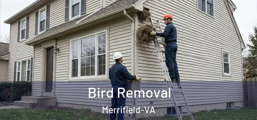  Bird Removal Merrifield-VA