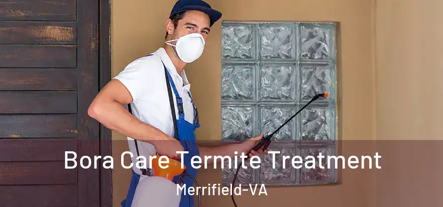 Bora Care Termite Treatment Merrifield-VA