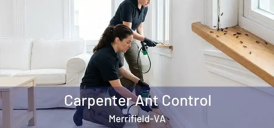 Carpenter Ant Control Merrifield-VA