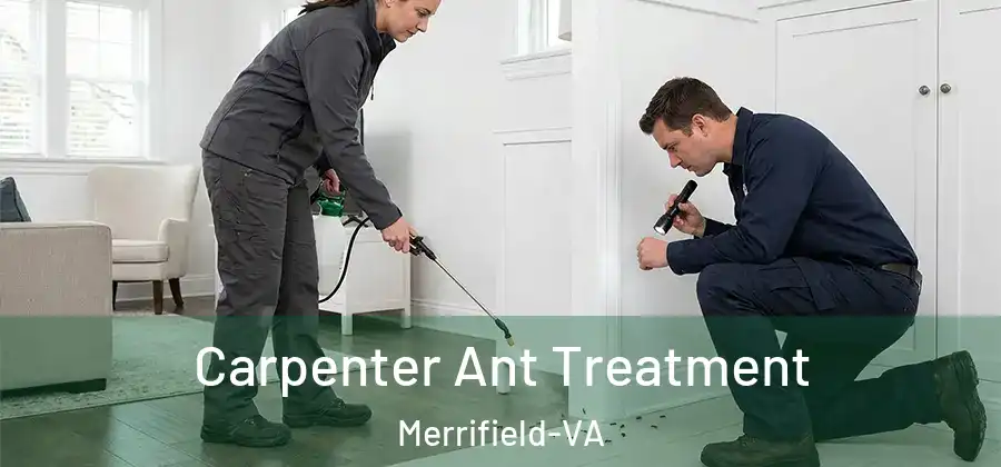 Carpenter Ant Treatment Merrifield-VA
