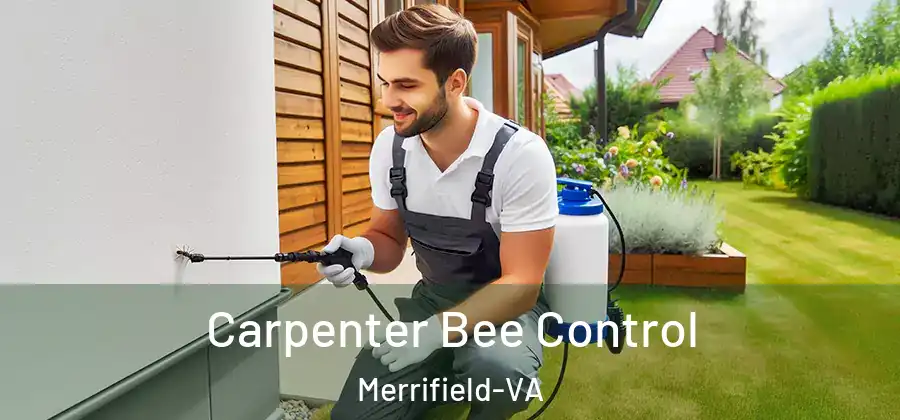 Carpenter Bee Control Merrifield-VA