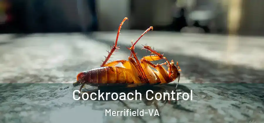 Cockroach Control Merrifield-VA