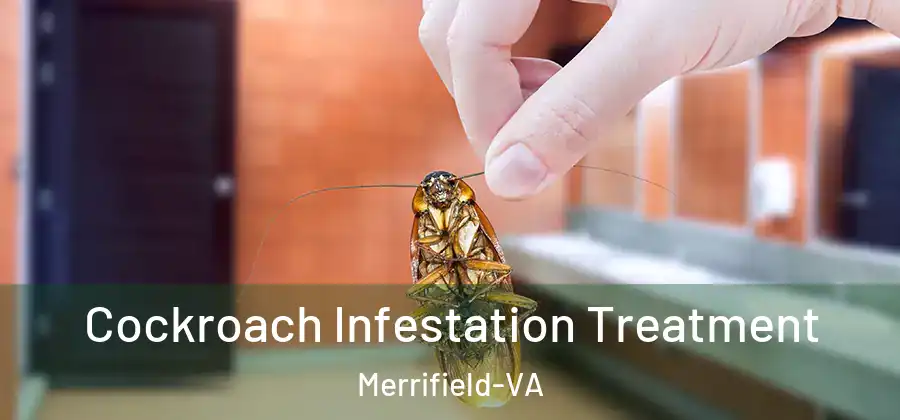 Cockroach Infestation Treatment Merrifield-VA