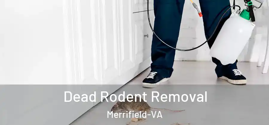 Dead Rodent Removal Merrifield-VA