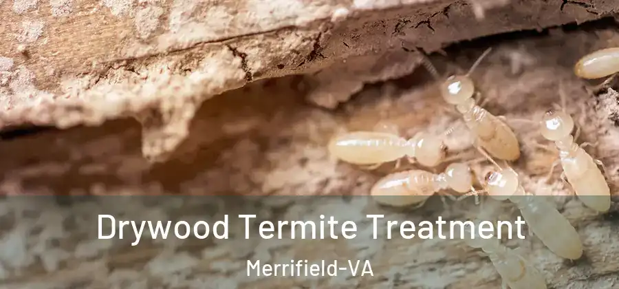 Drywood Termite Treatment Merrifield-VA