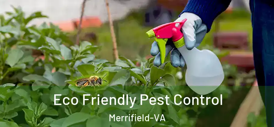 Eco Friendly Pest Control Merrifield-VA