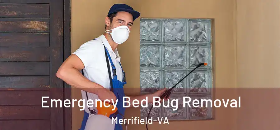 Emergency Bed Bug Removal Merrifield-VA