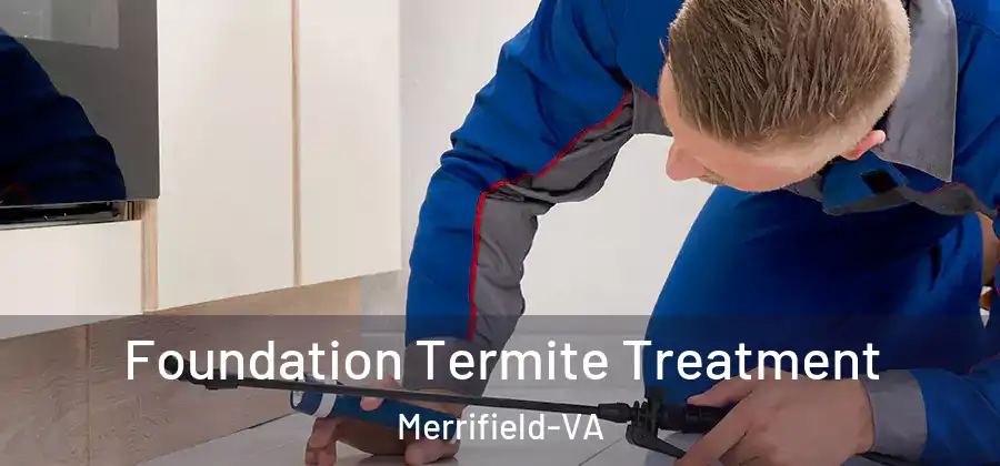 Foundation Termite Treatment Merrifield-VA