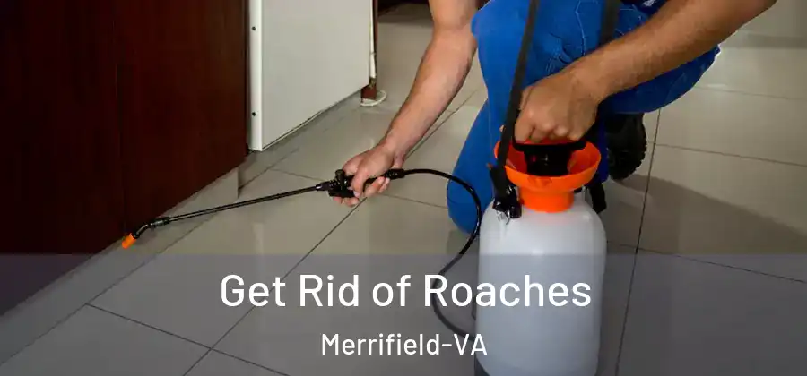 Get Rid of Roaches Merrifield-VA