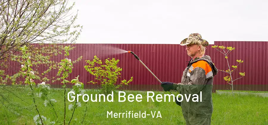 Ground Bee Removal Merrifield-VA