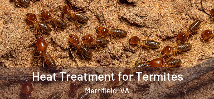 Heat Treatment for Termites Merrifield-VA