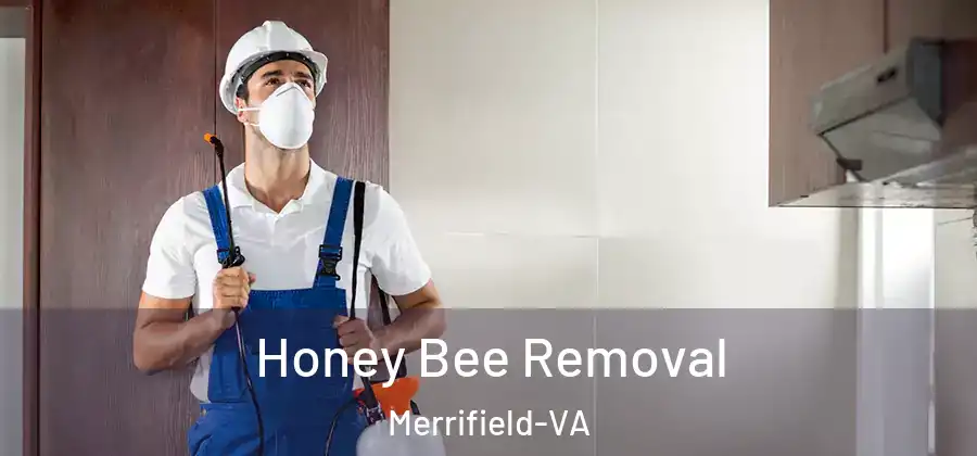 Honey Bee Removal Merrifield-VA