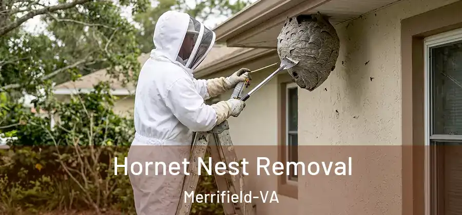 Hornet Nest Removal Merrifield-VA