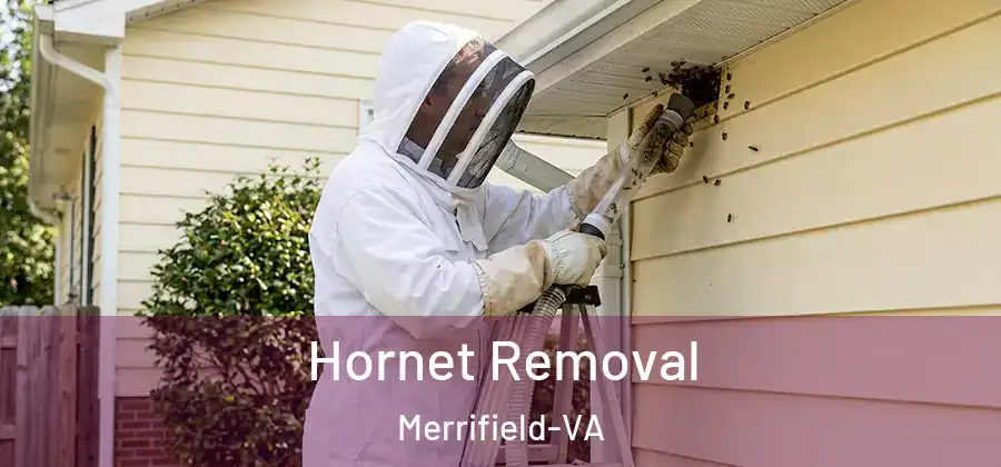 Hornet Removal Merrifield-VA