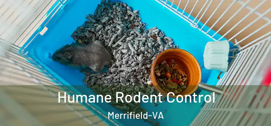 Humane Rodent Control Merrifield-VA