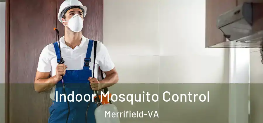 Indoor Mosquito Control Merrifield-VA
