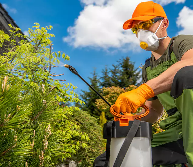 Your Mosquito Repellent Barrier Service in Merrifield, VA