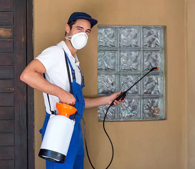 in Merrifield, VA Advanced Outdoor Pest Control Solutions by Merrifield Pest Control Pro