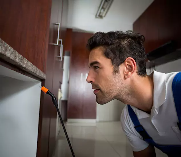 Termite Inspection Cost Experts You Can Trust in Merrifield, VA