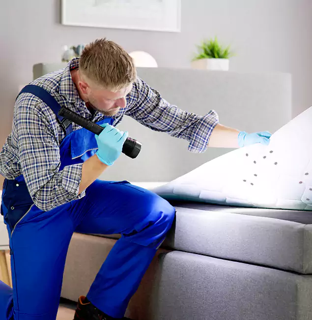 Why Choose Merrifield Pest Control Pro for Bed Bug Exterminator Cost in Merrifield, VA?
