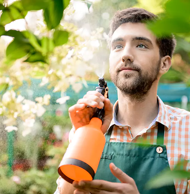 Why Merrifield Homeowners Call Merrifield Pest Control Pro for Mosquitoes in House?