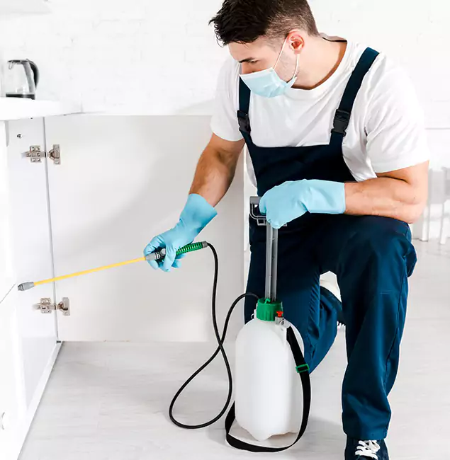 Why Choose Merrifield Pest Control Pro for Termite Spot Treatment in Merrifield, VA?