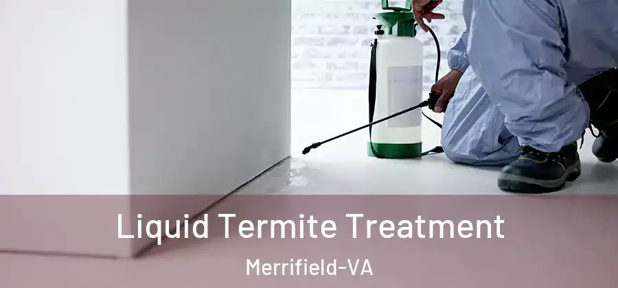 Liquid Termite Treatment Merrifield-VA