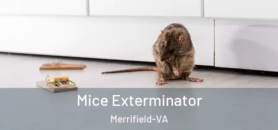 Mice Exterminator Merrifield-VA