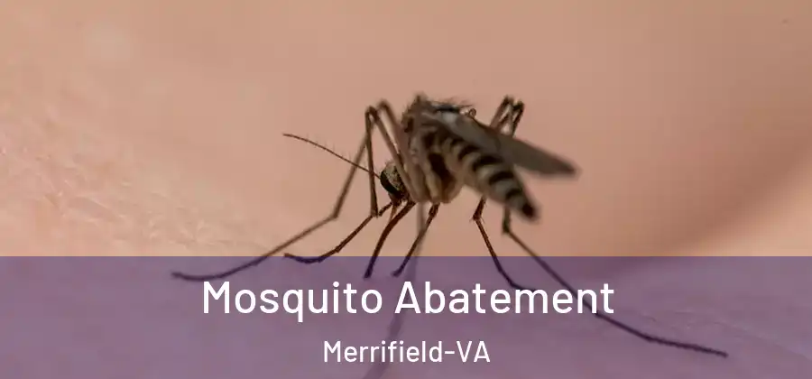 Mosquito Abatement Merrifield-VA
