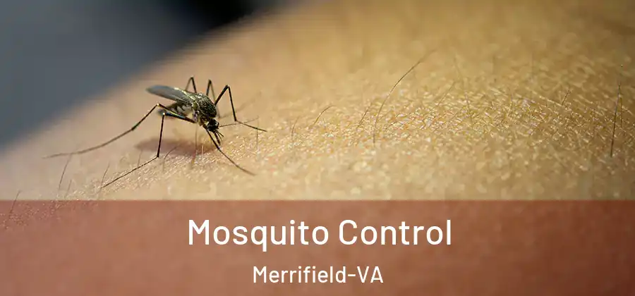 Mosquito Control Merrifield-VA